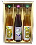 ブルーベリー1本 梅酒2本